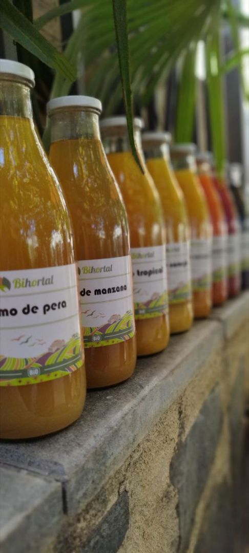 Zumo de Zanahoria con Aloe Vera