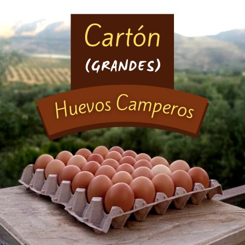 Cartón ( Grandes )