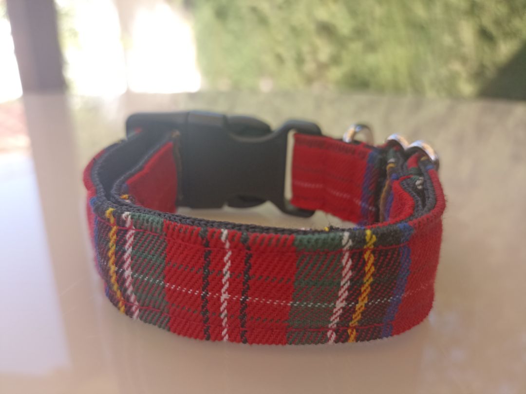 Collar click Escocia 2'5 cm