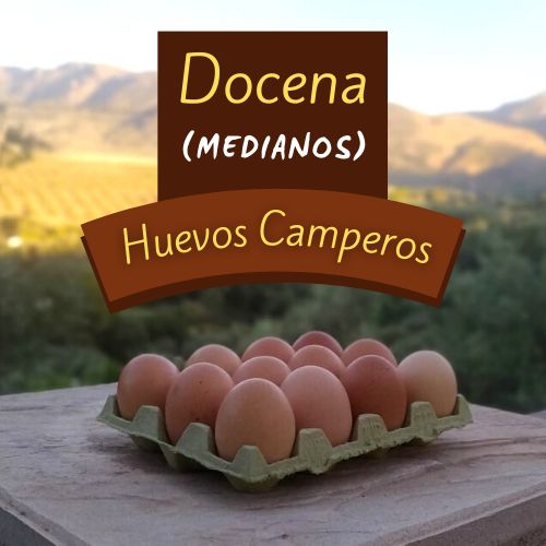 Docena (Medianos)